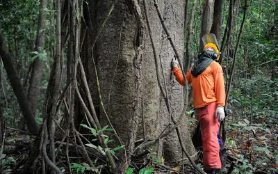 Foto: Tomaz Silva/Agência Brasil