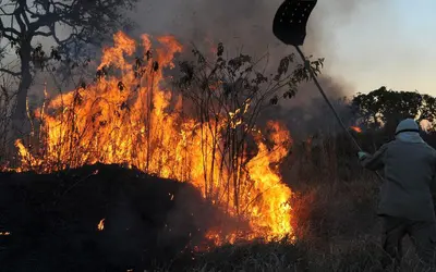 Seca aumenta risco de incêndio na floresta Amazônica — Foto: Arquivo/Valter Campanato/Agência Brasil