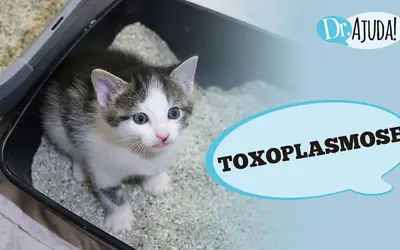 Foto: Reprodução/Canal Doutor Ajuda