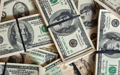 Foto: bearfotos/Freepik