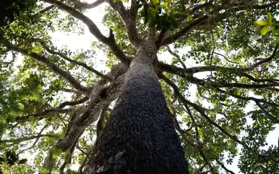 Foto: Fernando Frazão/Agência Brasil