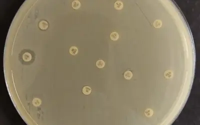 Foto: Rubens Renato Carmo/USP