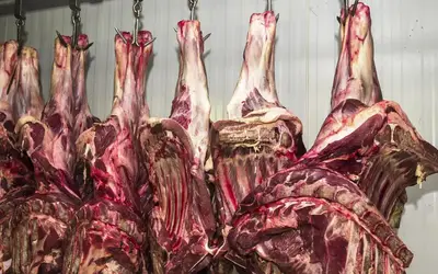 Frigoríficos brasileiros criaram mais de 11 mil postos de trabalho Foto: Marcello Casal Jr/Agência Brasil