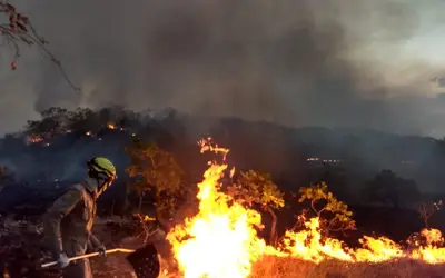 Foto: Reprodução Governo de Goiás Foto: Reprodução Governo de Goiás