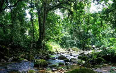 Foto: Tania Rego/Agência Brasil Foto: Tania Rego/Agência Brasil