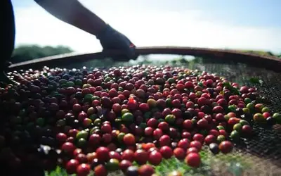 Foto: Marcelo Camargo/Agência Brasil