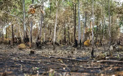 Foto: Reprodução Marcelo Camargo/Agência Brasil