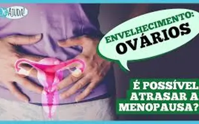 Foto: Dr. Ajuda!/divulgação