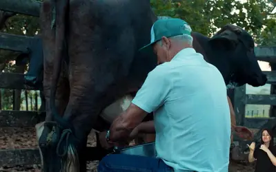 Foto: Reprodução/Banco da Amazônia