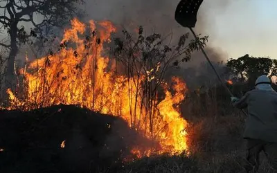 Foto: Arquivo/Valter Campanato/Agência Brasil