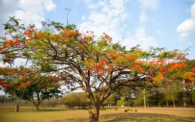 Foto: Marcello Casal Jr/Agência Brasil
