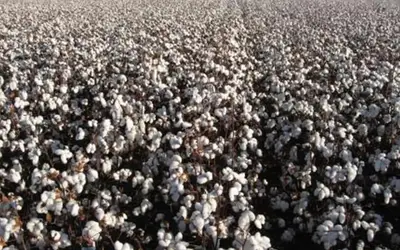 Foto: Arquivo/Agência Brasil