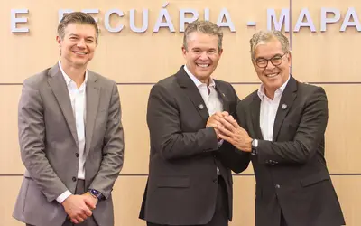 Fotos: Percio Campos/Mapa