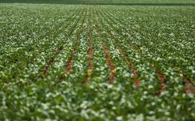 Foto: Marcelo Camargo/Agência Brasil