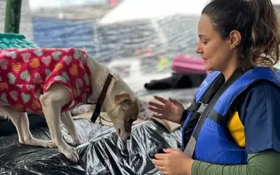 Os municípios afetados pelas enchentes de proporções trágicas no Rio Grande do Sul receberão, de forma sumária, apoio financeiro para o resgate e cuidado de animais. Até agora, foram resgatados 12.215 pets (Fotos; Grad/divulgação)