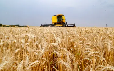 Foto: Gilson Glauben/AEN