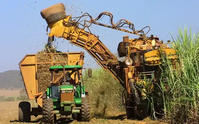 Foto: Divulgação/Agência Brasil