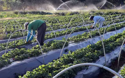 Foto: Valter Campanato/Agência Brasil
