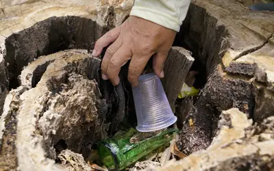 Descarte de lixo em locais inadequados oferece riscos à população. Foto: Reprodução SES GO/Iron Braz Descarte de lixo em locais inadequados oferece riscos à população. Foto: Reprodução SES GO/Iron Braz