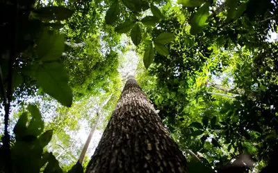 Foto: Marcelo Camargo/Agência Brasil