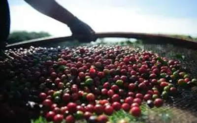 Foto: Marcelo Camargo/Agência Brasil