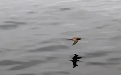 Foto: Tânia Rêgo/Agência Brasil