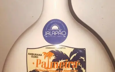 Foto: Divulgação/Reprodução Instagram