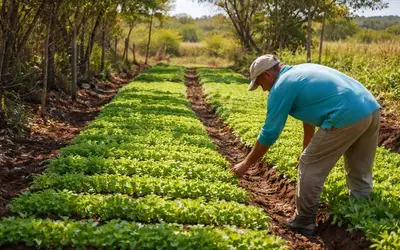 Foto: Divulgação/MIDR