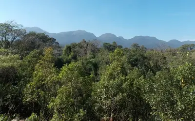  MG intensifica fiscalização ambiental Foto: Arquivo/Agência Brasil