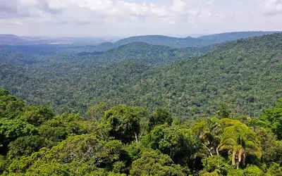 Redução do desmatamento na Amazônia favorece a economia sustentável. Foto: TV Brasil