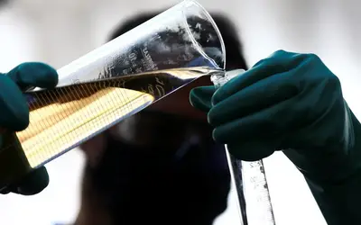 Foto: Divulgação MMA