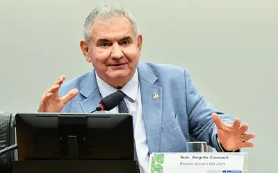 Foto: senador Angelo Coronel, Geraldo Magela/Agência Senado 