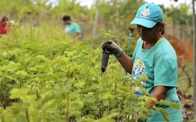 Foto: Tânia Rêgo/Agência Brasil