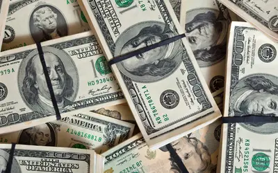 Foto: bearfotos/Freepik