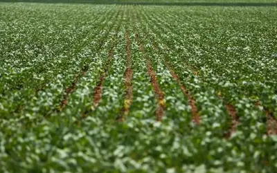 Foto: Marcelo Camargo/Agência Brasil