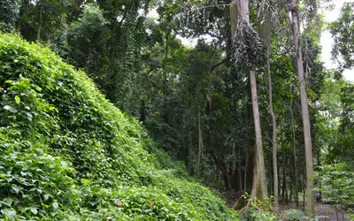 Foto:  Miguel Ângelo/CNI