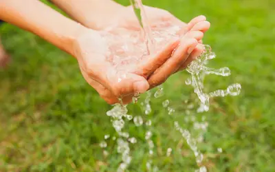 Foto: Freepik Foto: Freepik