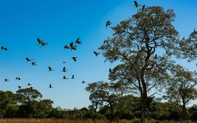 Foto: Reprodução Mayke Toscano/Secom-MT