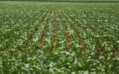 Foto: Marcelo Camargo/Agência Brasil