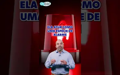 Foto: Dr. Ajuda!/divulgação