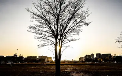 Foto: Valter Campanato/Agência Brasil