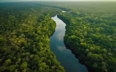 Plataforma do Instituto Amazônia+21 vai levar oportunidades socioeconômicas para a população  - Foto: Freepik