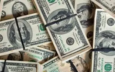 Foto: bearfotos/Freepik