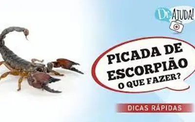 Foto: Reprodução/Canal Doutor Ajuda