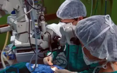 Foto: Elza Fiúza/Agência Brasil