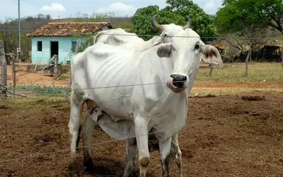Foto: Valter Campanato/Agência Brasil