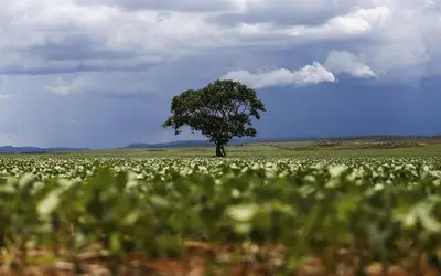 Foto: Marcelo Camargo/Agência Brasil
