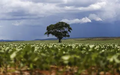 Foto: Marcelo Camargo/Agência Brasil