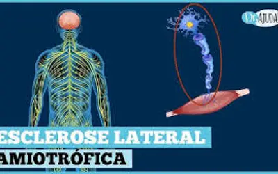 Foto: Dr. Ajuda!/divulgação