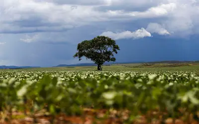 Foto: Marcelo Camargo/Agência Brasil